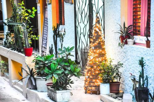 Casa Delfin B&B