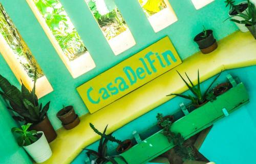 Casa Delfin B&B