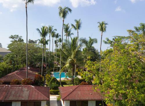 Hotel Palococo