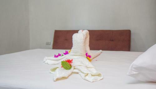 Hotel Palococo
