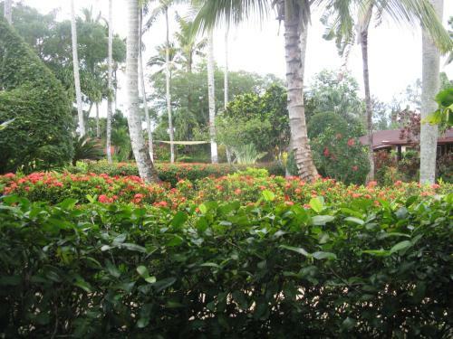 Hotel Palococo