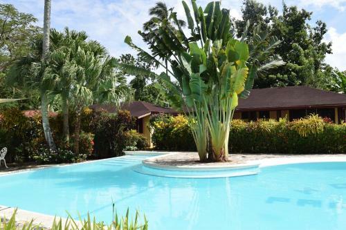 Hotel Palococo
