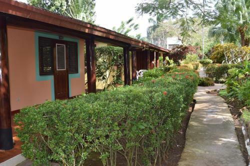 Hotel Palococo