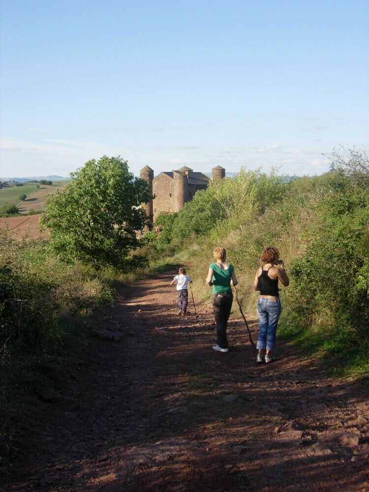 Le Sureau Du Brugas