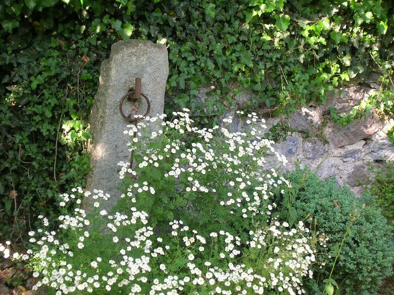 Kilbury Manor B&B