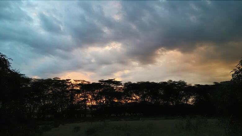 Ole Itiko Cottages