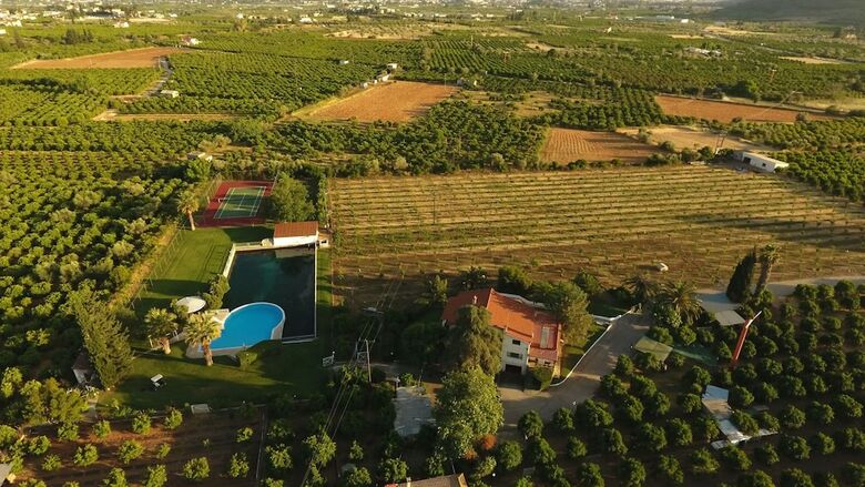 Orange Grove Villa