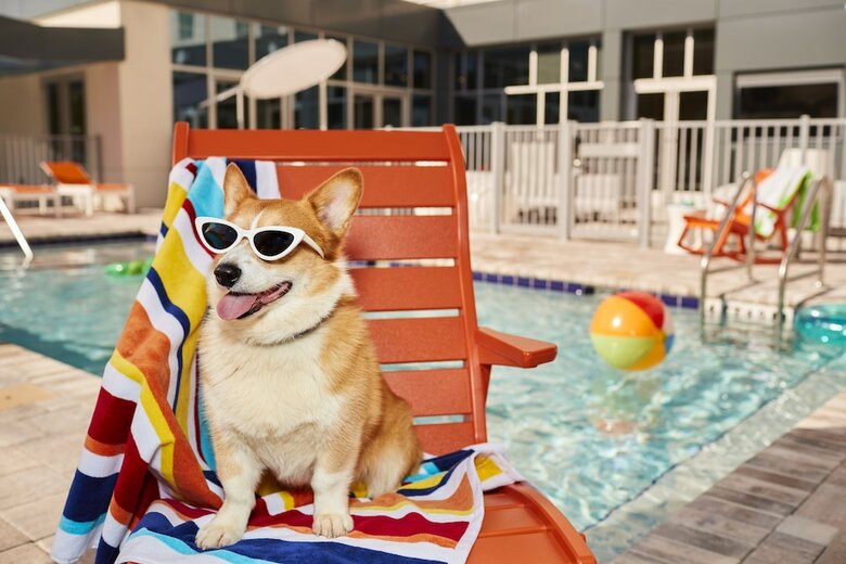 Hotel Aloft Austin Round Rock