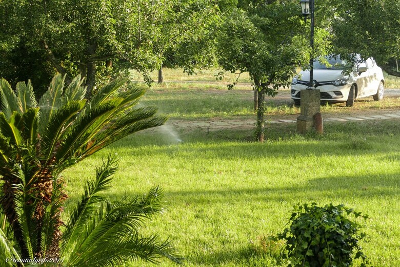 Bed & Breakfast Tenuta Il Grifo