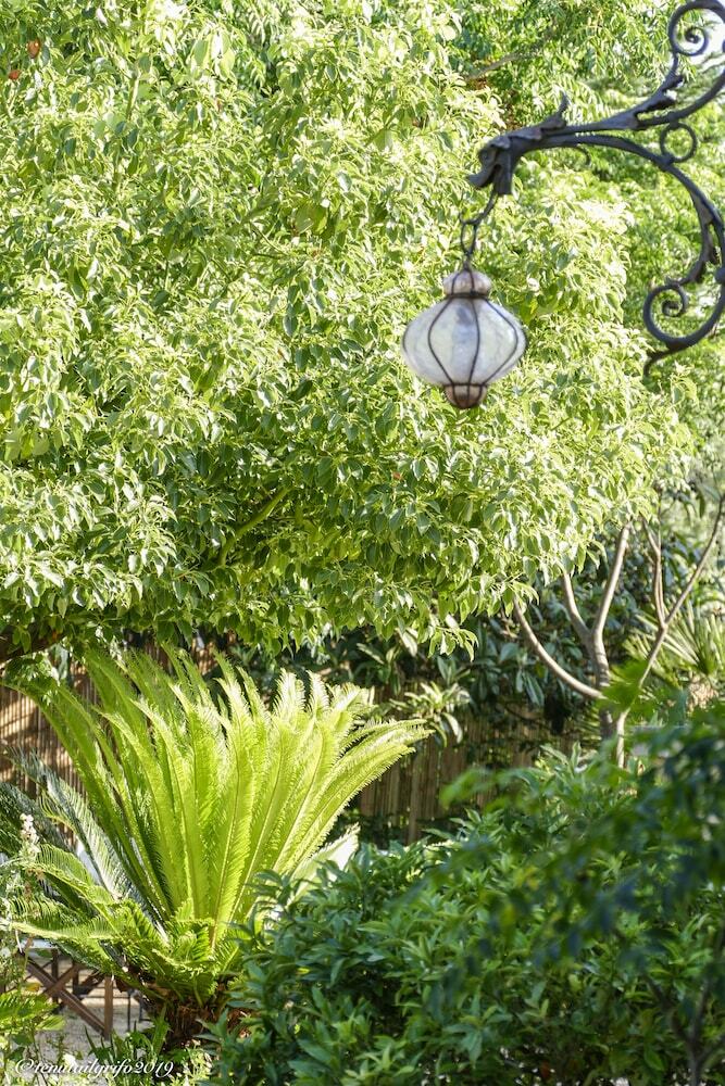 Bed & Breakfast Tenuta Il Grifo