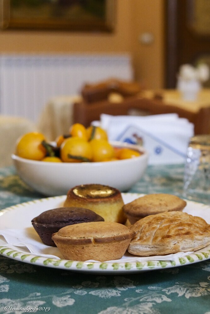 Bed & Breakfast Tenuta Il Grifo