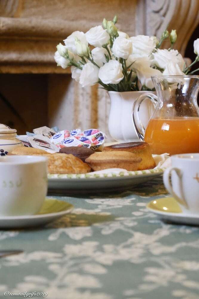 Bed & Breakfast Tenuta Il Grifo