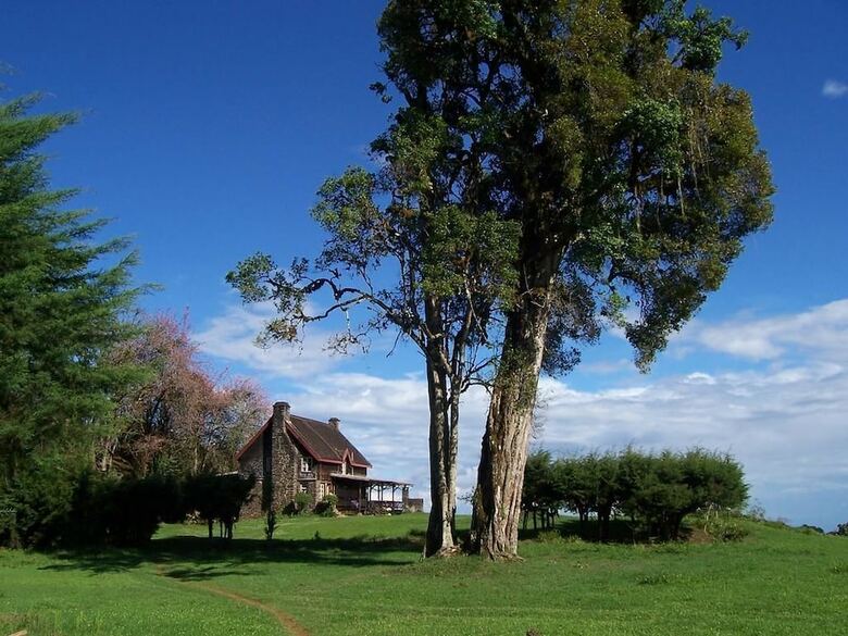 Posada Castle Forest Lodge