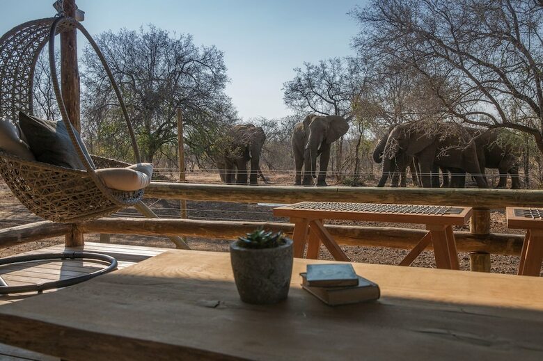Posada Nkala Safari Lodge