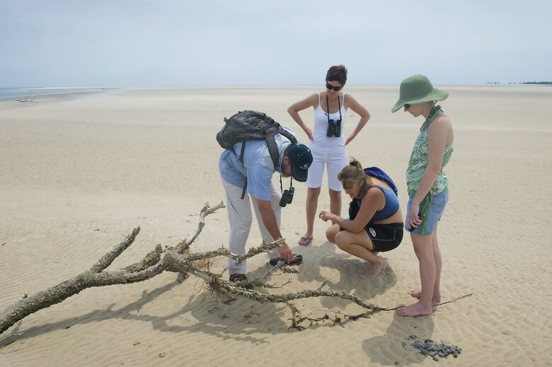 Posada Dugong Beach Lodge