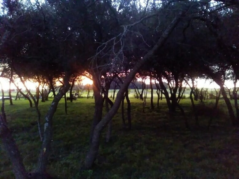 Bed & Breakfast Posada de Campo Los Azahares