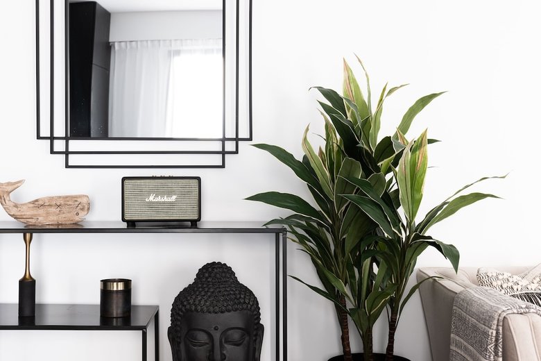 Aparthotel Terreno Studios