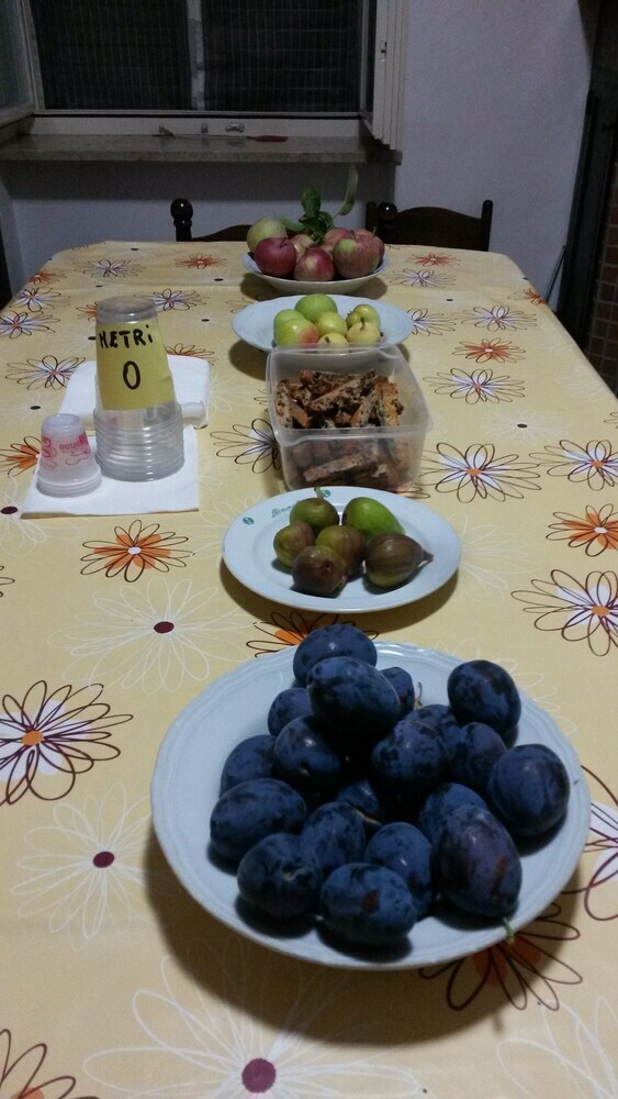 Bed & Breakfast La Terrazza Di Laurino
