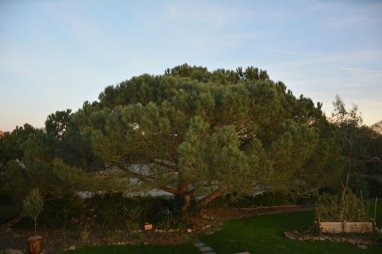 Bed & Breakfast L'abri' C�tier