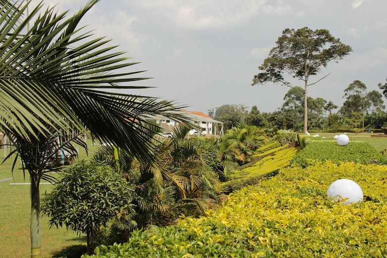 Apartamento Forest Park Resort
