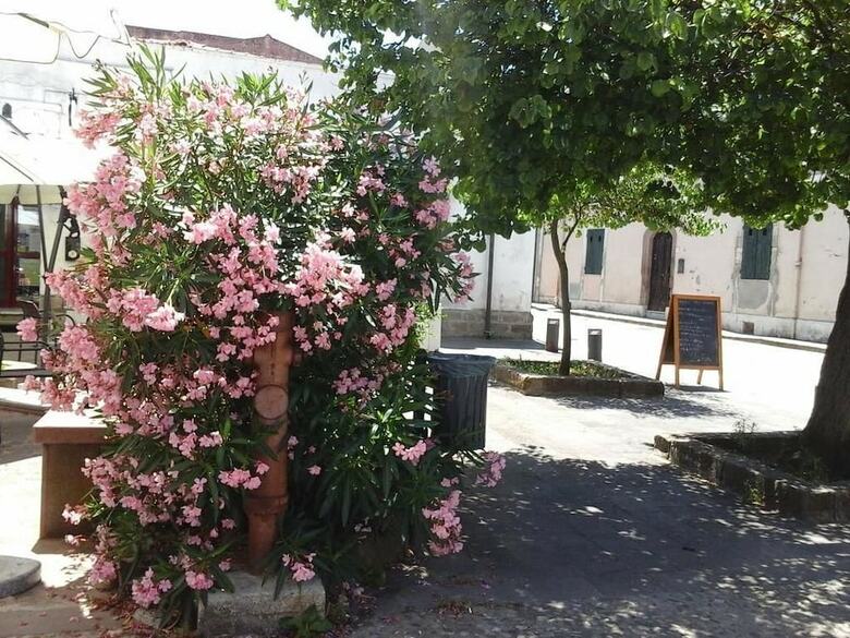 Bed & Breakfast Antica Casa Cristofori