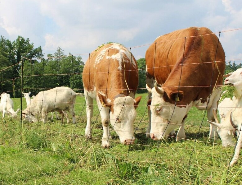 Pension Farm Kundratice