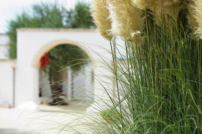 Agroturismo Agriturismo Masseria de Michele