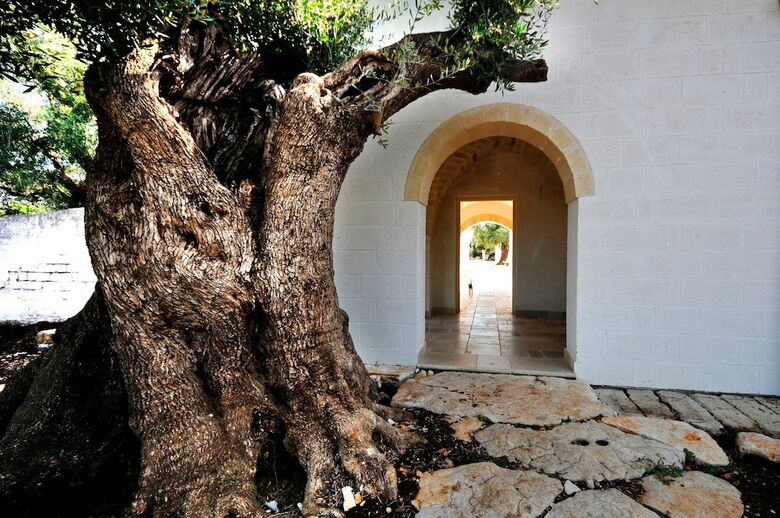 Agroturismo Agriturismo Masseria de Michele