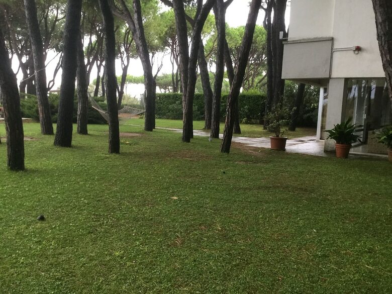 Hotel Bellevue & Resort