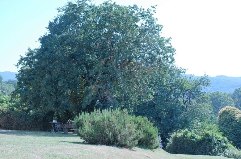 Agroturismo Lo Zolfino