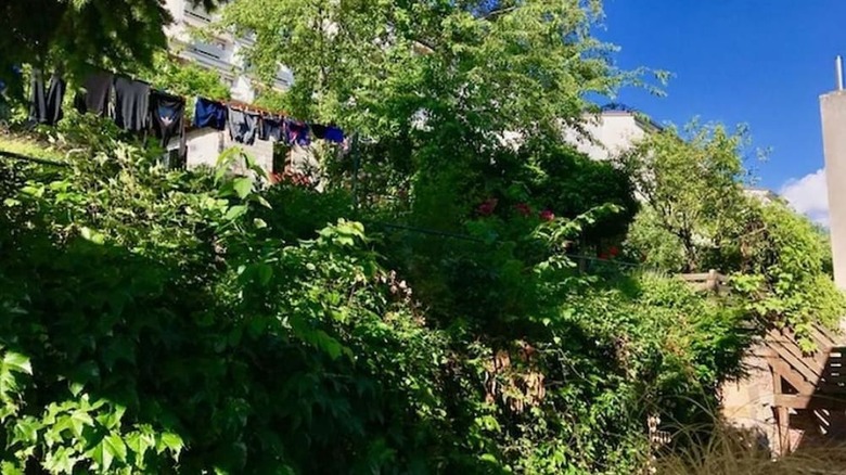 Hotel G�stezimmer Am Weinberg Kassel