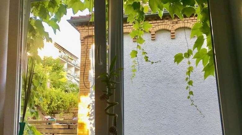 Hotel G�stezimmer Am Weinberg Kassel
