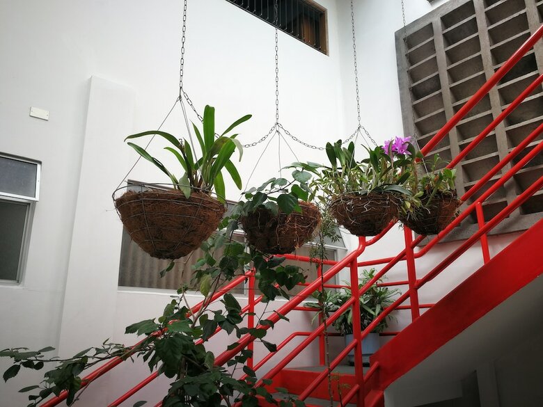 Bed & Breakfast Hotel Hojarascas