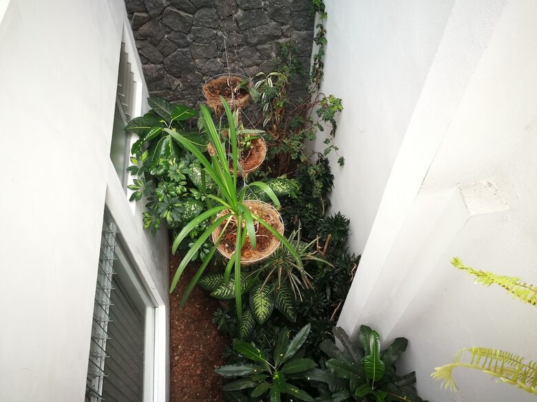 Bed & Breakfast Hotel Hojarascas