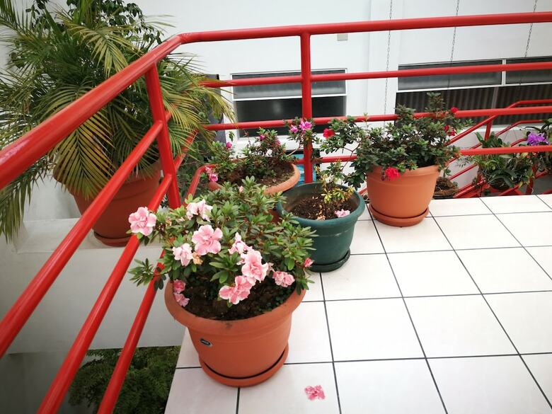 Bed & Breakfast Hotel Hojarascas