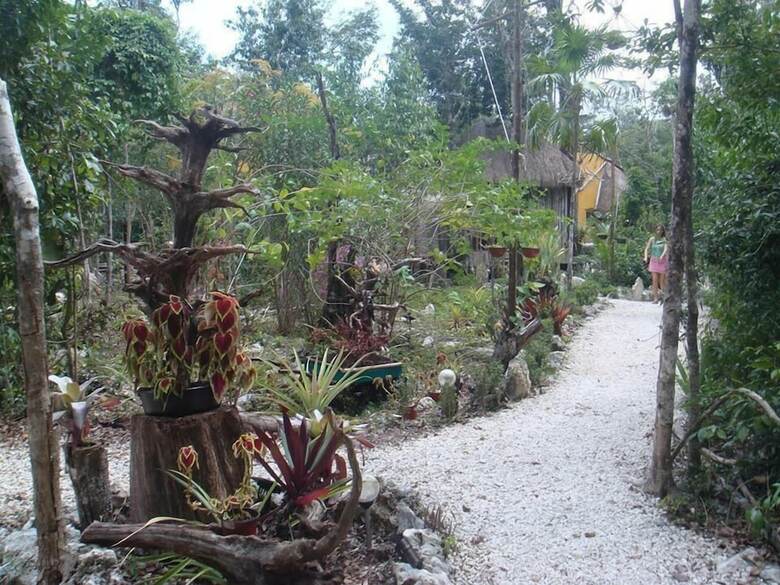 Kiool Eco Hotel & Cenote