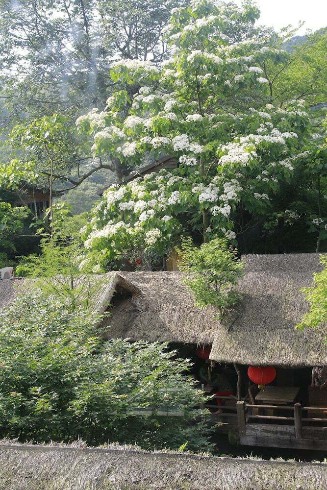 Bed & Breakfast Zhuo Ye Cottage
