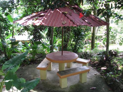 Bed & Breakfast Real Dominican Republic Discovery