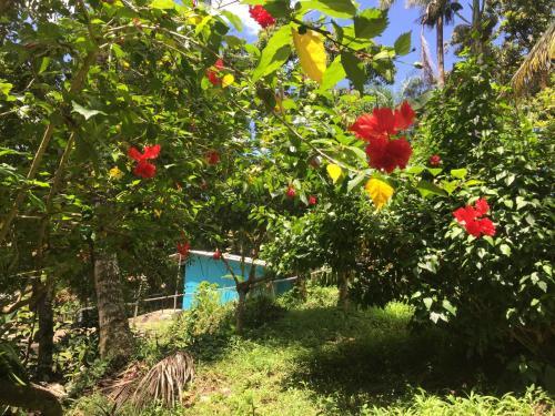 Bed & Breakfast Real Dominican Republic Discovery