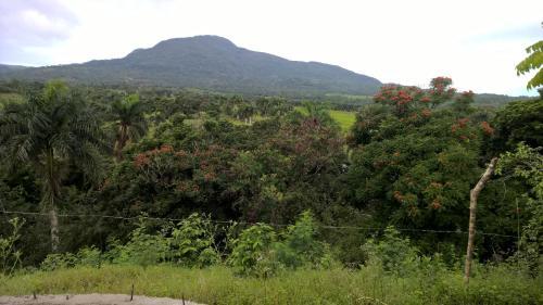 Bed & Breakfast Real Dominican Republic Discovery