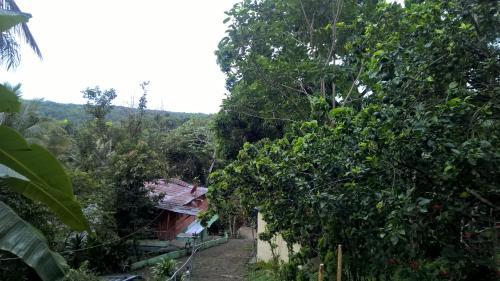 Bed & Breakfast Real Dominican Republic Discovery