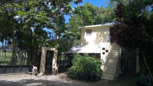 Bed & Breakfast Real Dominican Republic Discovery