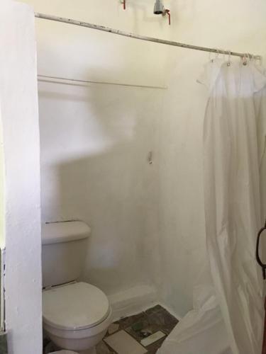 Bed & Breakfast Real Dominican Republic Discovery