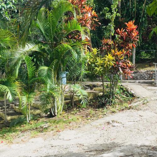 Bed & Breakfast Real Dominican Republic Discovery
