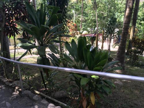 Bed & Breakfast Real Dominican Republic Discovery