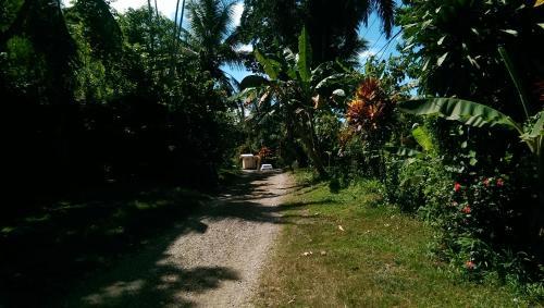 Bed & Breakfast Real Dominican Republic Discovery