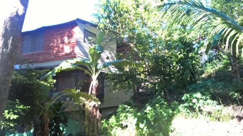 Bed & Breakfast Real Dominican Republic Discovery