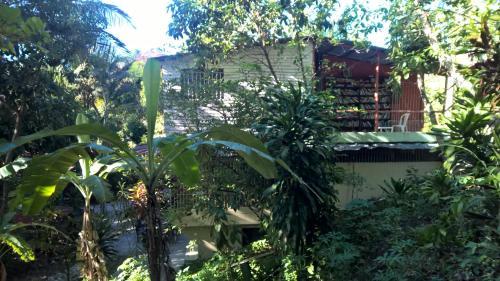 Bed & Breakfast Real Dominican Republic Discovery