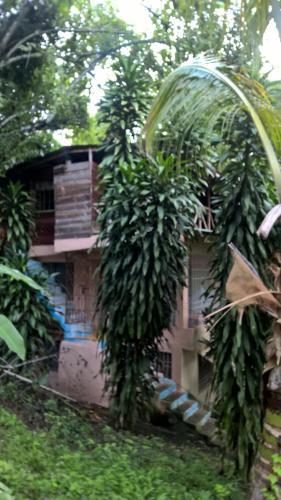 Bed & Breakfast Real Dominican Republic Discovery