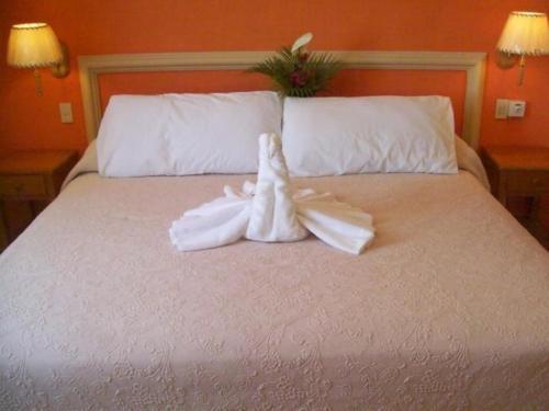 Hotel Y Suites Corita
